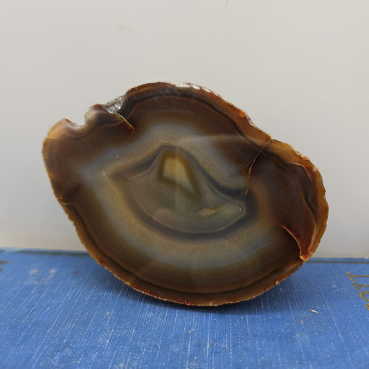 Cut and Polished Agate Rock