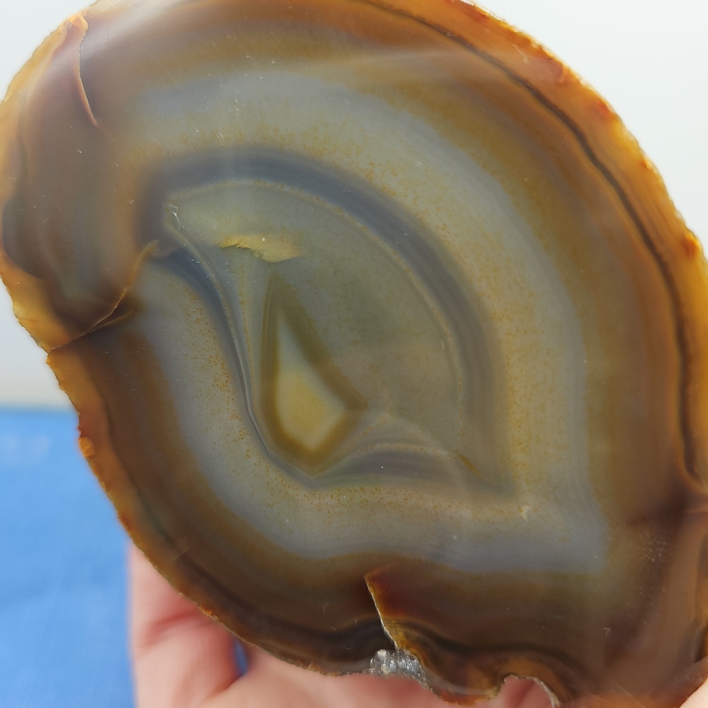 Cut and Polished Agate Rock