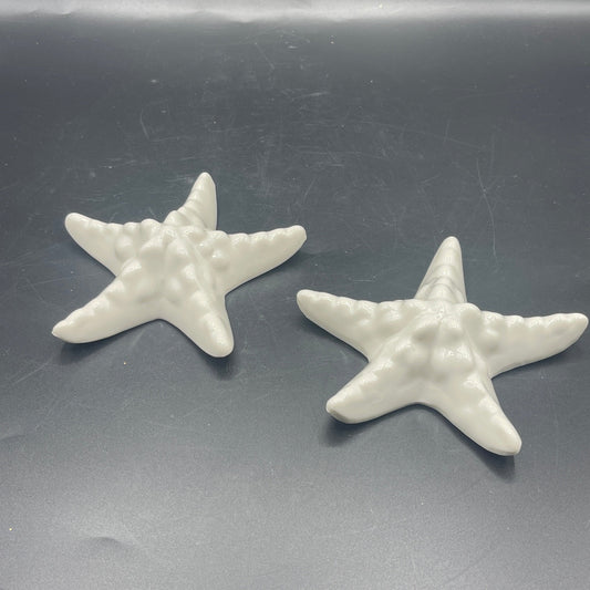 Ceramic Starfish Decor - Pair