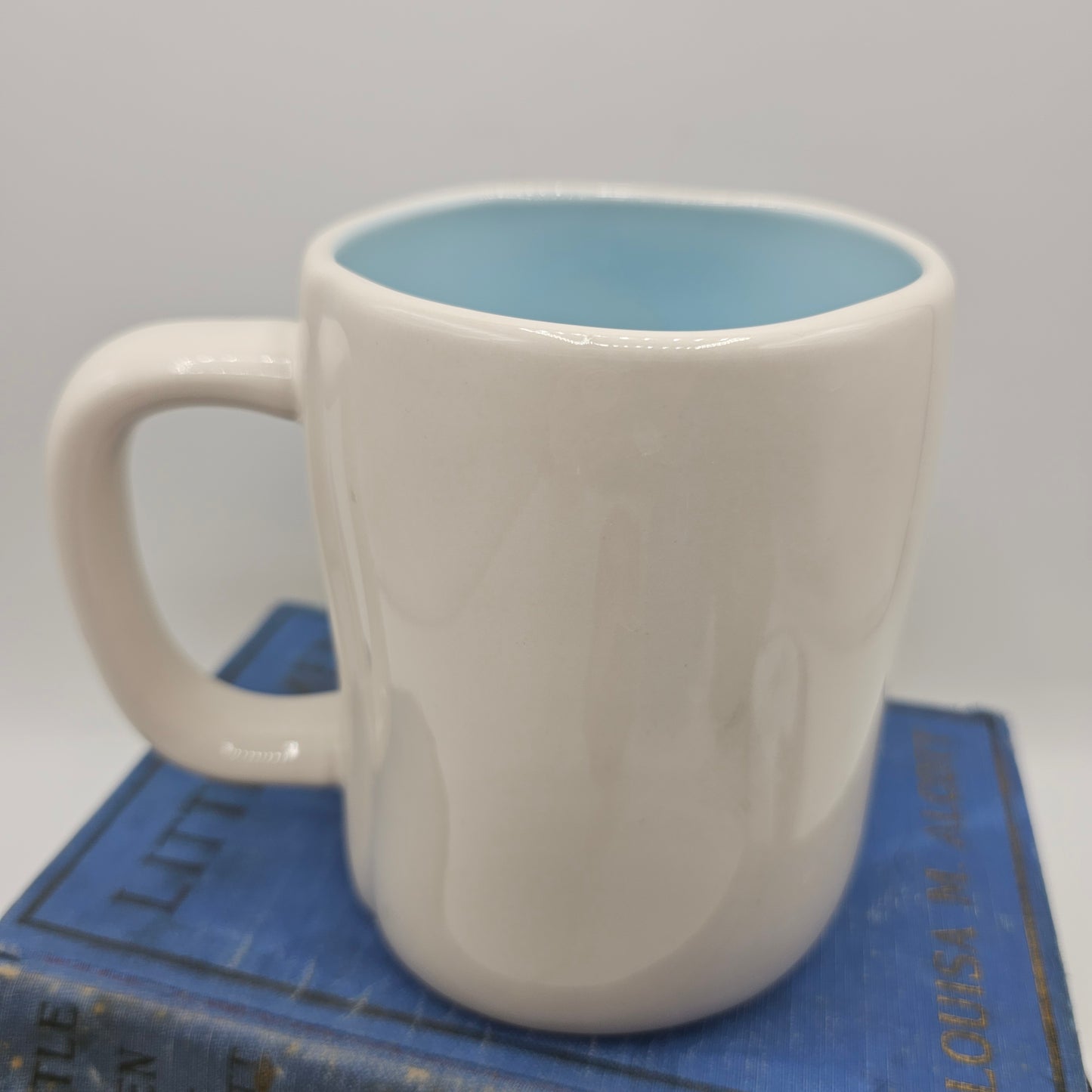 Rae Dunn Robins Egg Mug with Blue Interior